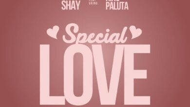 Wendy Shay – Special Love ft. King Paluta