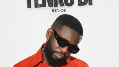 Bisa Kdei – Yenkodi