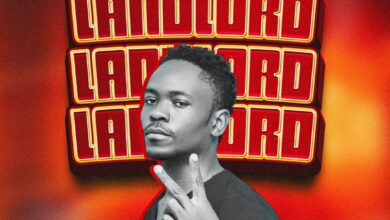 Maccasio – Landlord