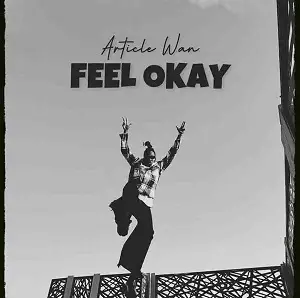 Article Wan – Feel Okay